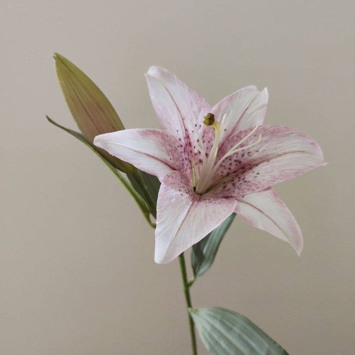 Lebensechte Lilienstiel