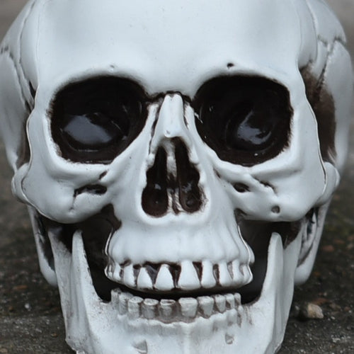 Dekorative realistische Totenkopf-Figur Karnz