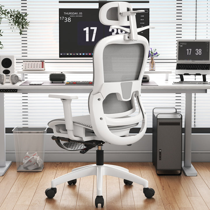 Büro Ergonomischer Bürostuhl Karnz