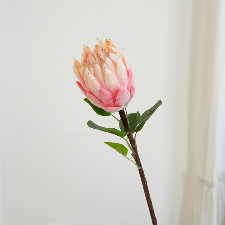 Künstliche Protea Blume Karnz