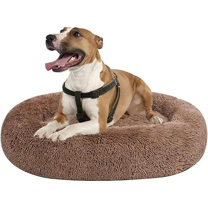 Plüsch Rund Orthopädisches Hundebett