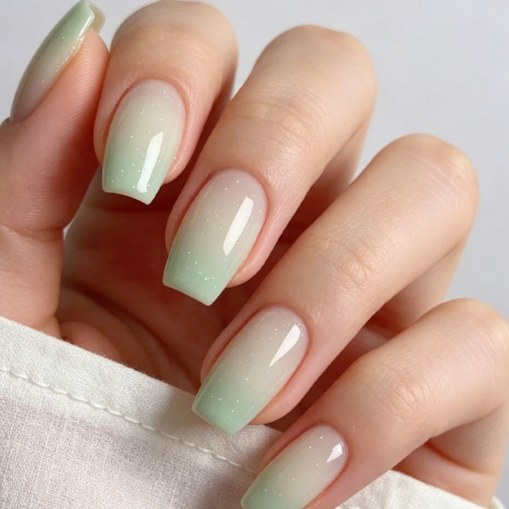 Ombre Gel Nagelkunst Set Karnz