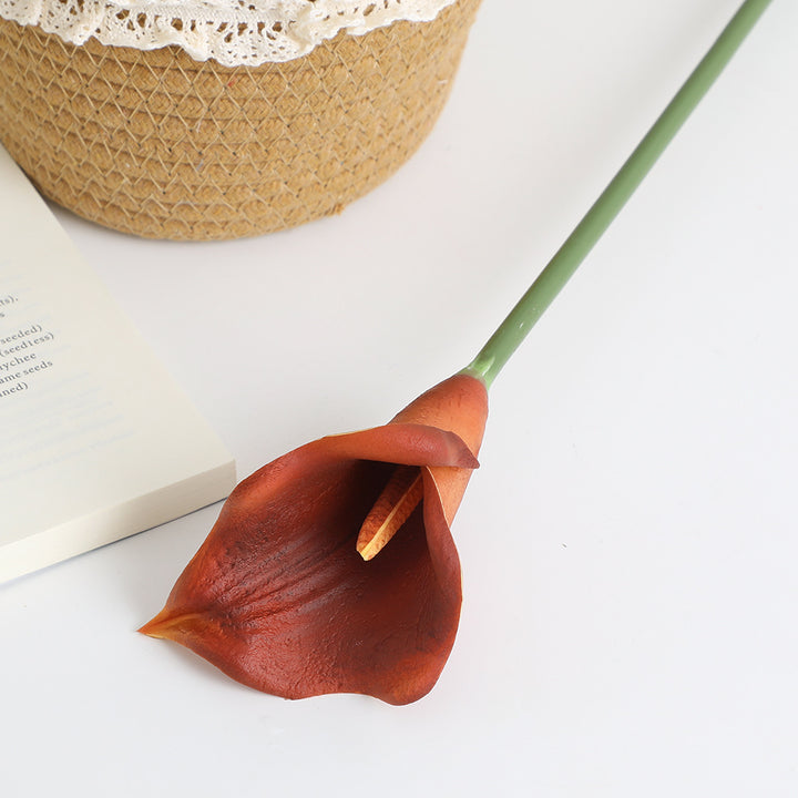 Kunstblume Karnz