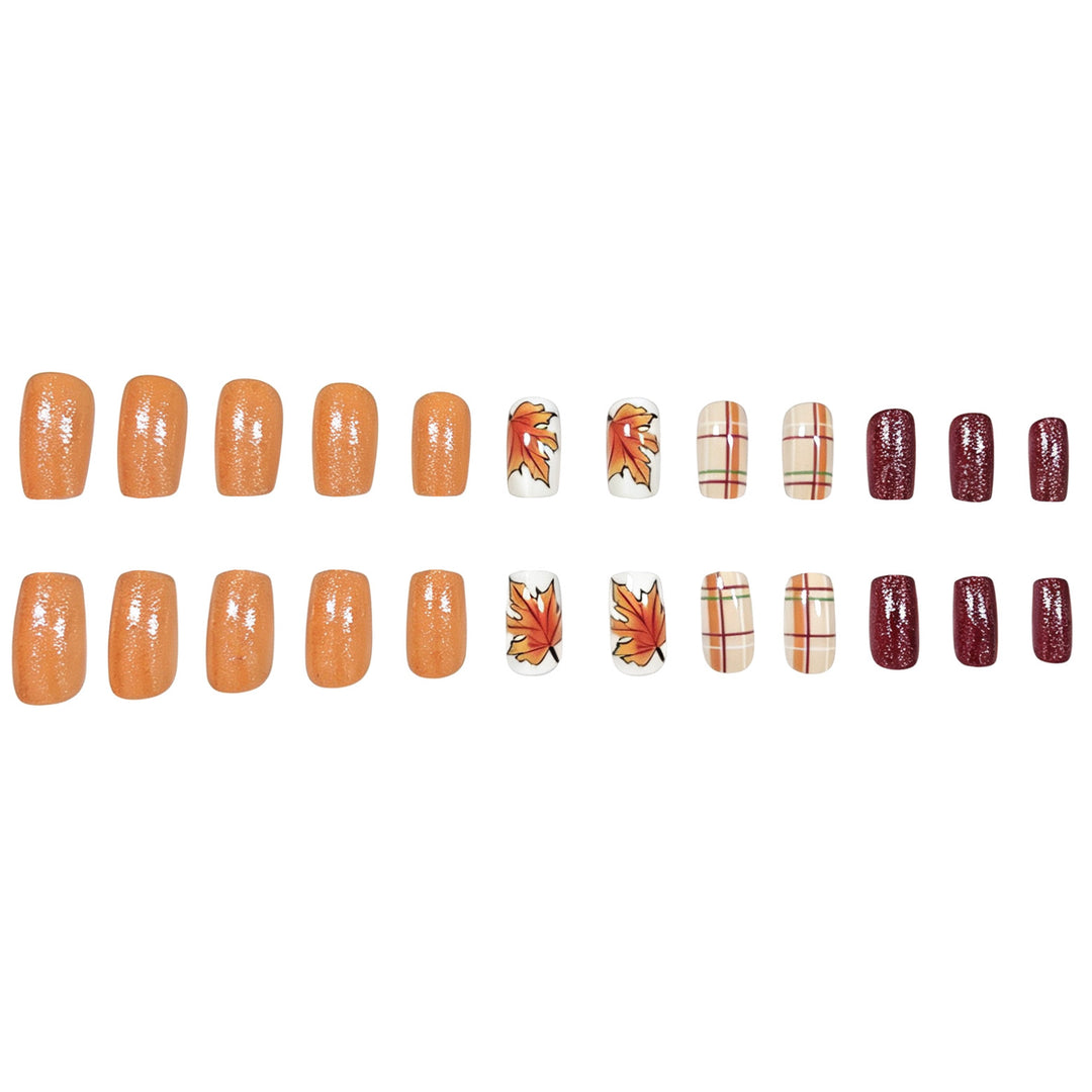 Saisonales Themen-Acryl-Nagelkunst-Set Karnz