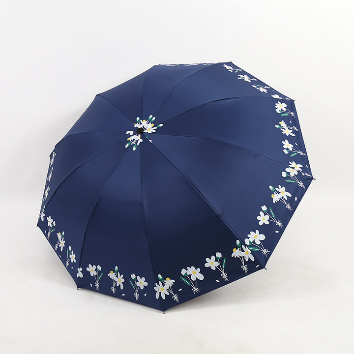 Damen Regenschirm Karnz