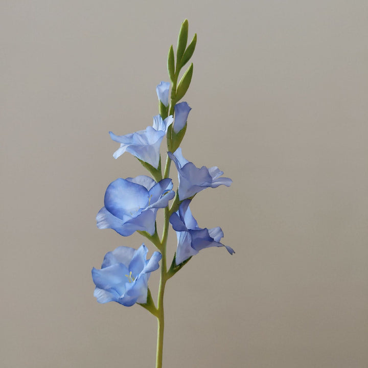 Orchideenblütenstiel