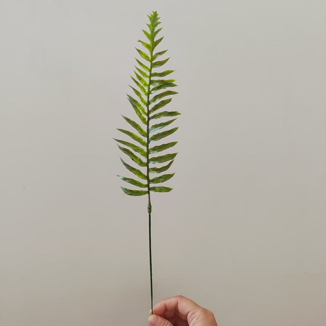 Tropisches Palmenblattstiel