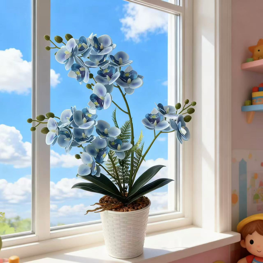 Elegante dekorative Orchideenpflanzenarrangement für die Heimdekoration