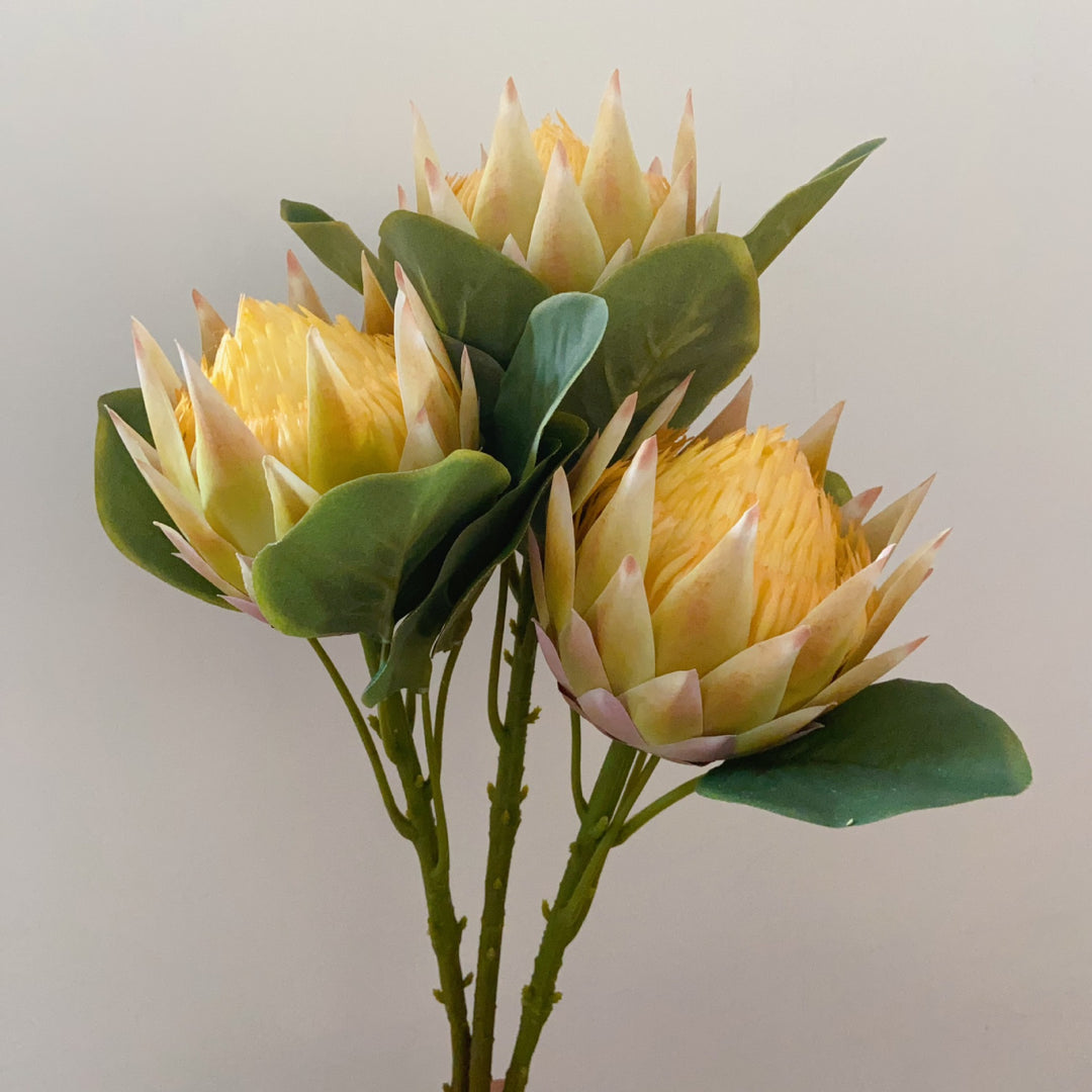 Lebensnahe Dekorative Protea Blumenstängel