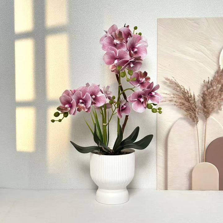 Dekorative Orchideenpflanzenarrangement 1790480695 für Dekor