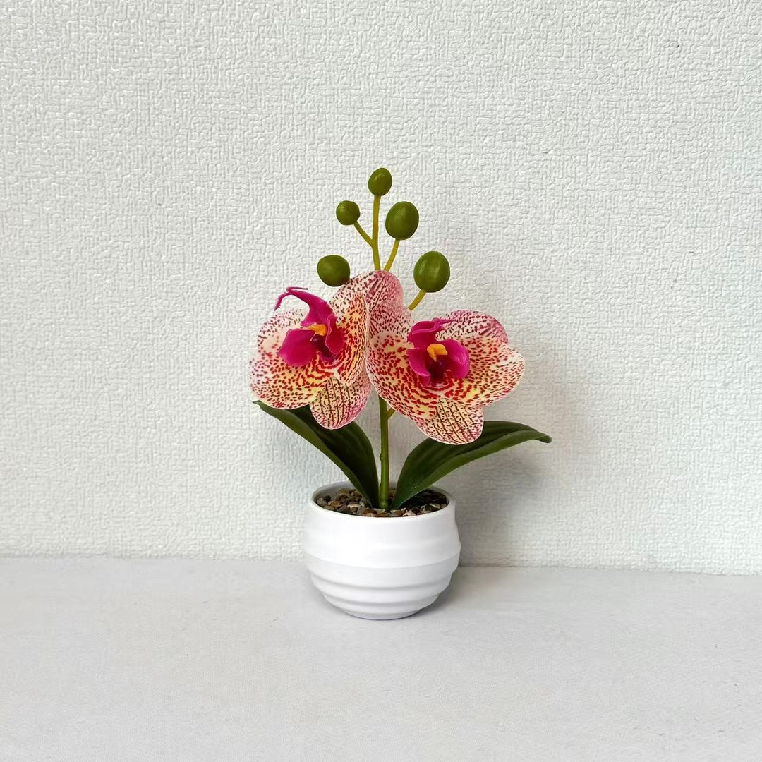 Dekorative Orchideen-Topf