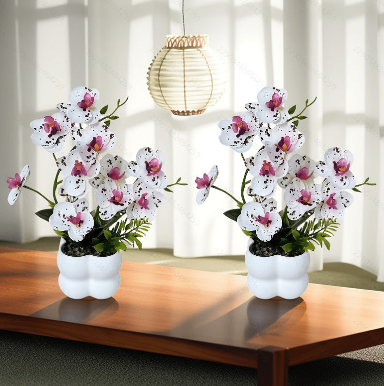 Lebensechte Orchideen-Blumenanzeige