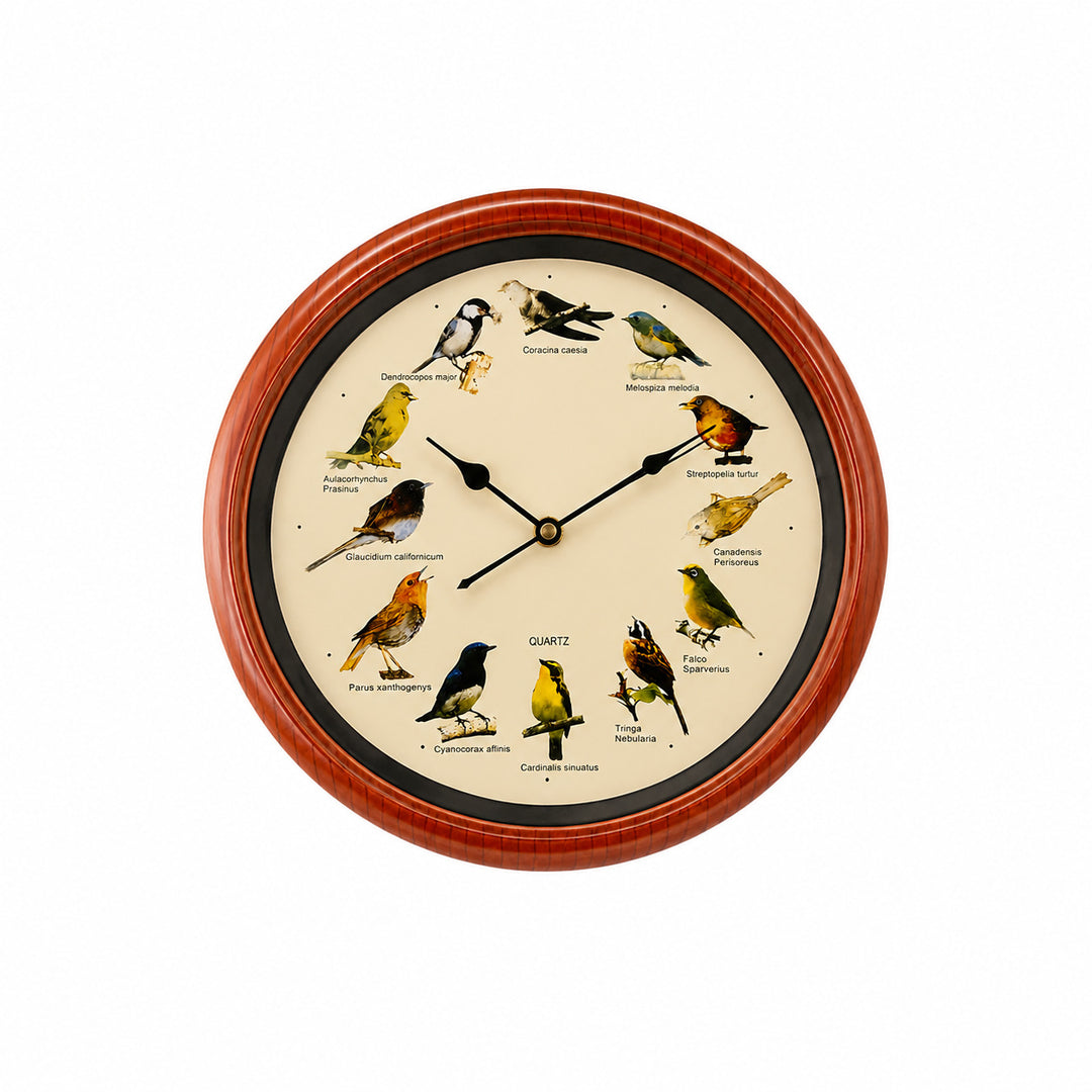 Wanduhr mit buntem Vogeldesign Karnz