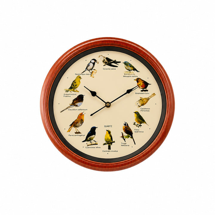 Wanduhr mit buntem Vogeldesign Karnz