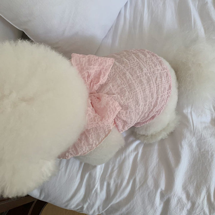 Spitzen-Raffung-Hundekleid mit dekorativem Rücken