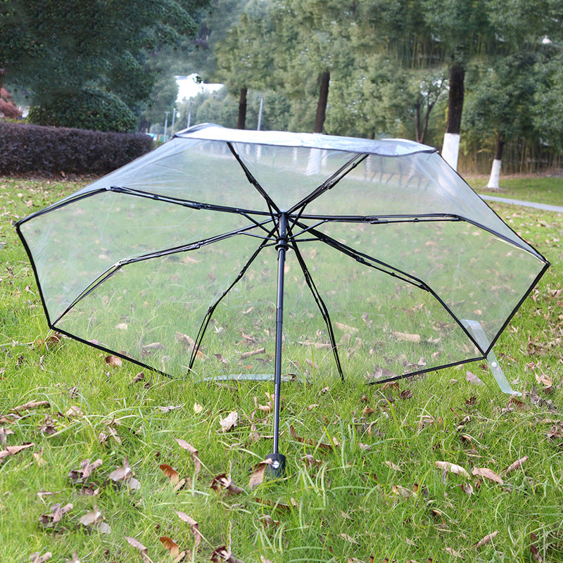 Damen durchsichtiger Regenschirm Karnz