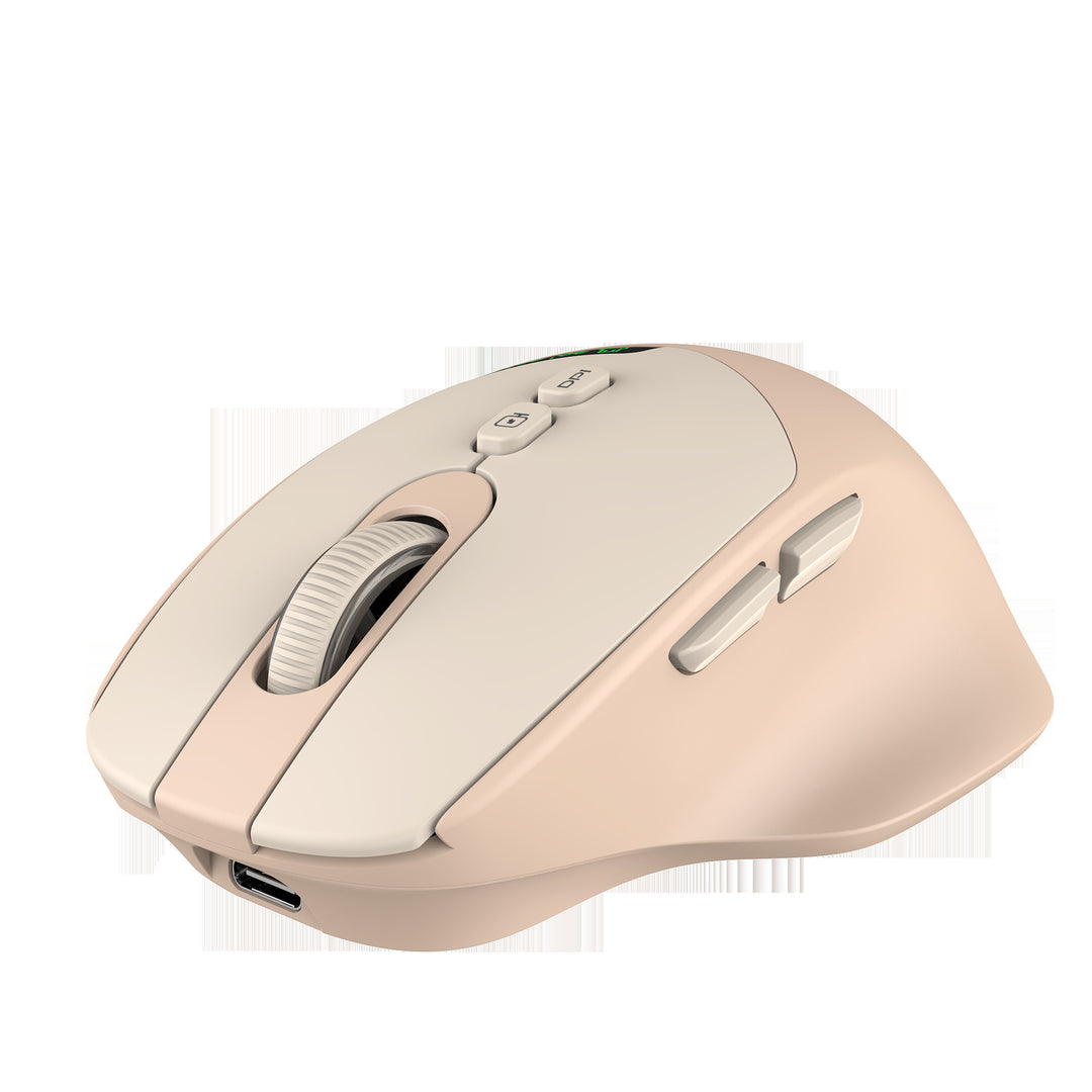 Ergonomische Funkmaus Karnz