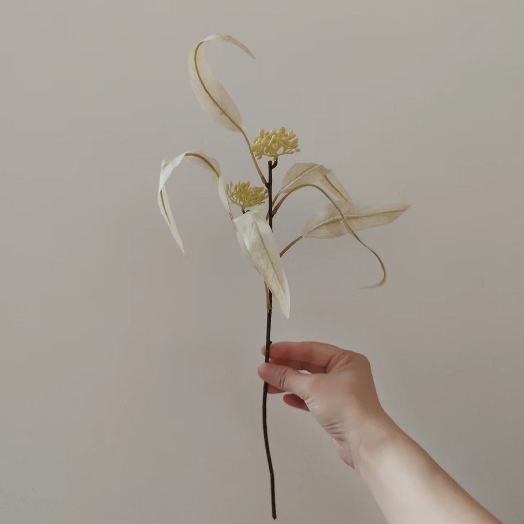 Natürlich getrockneter Blumenstiel