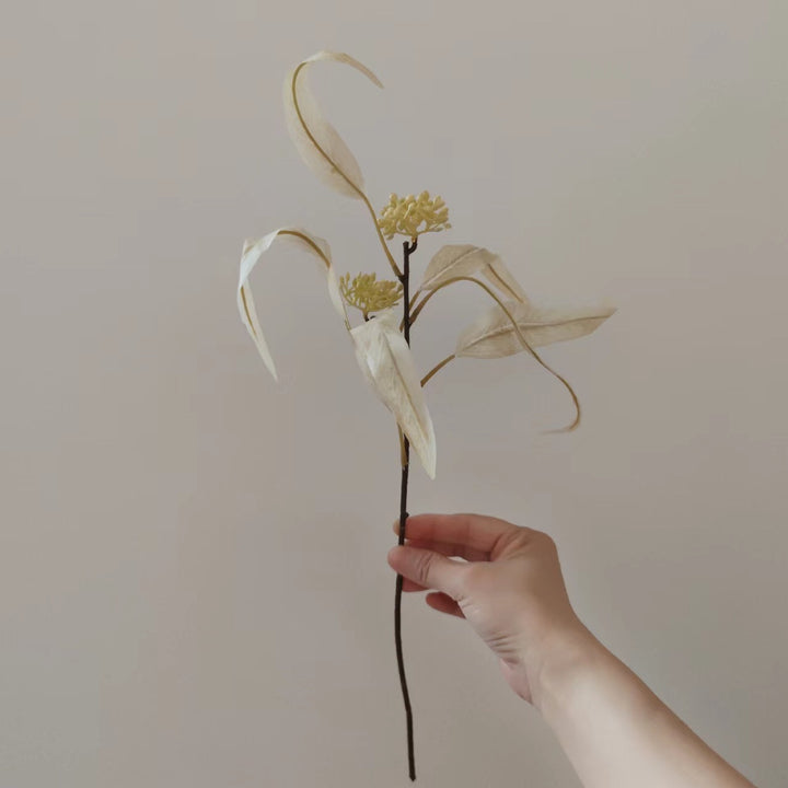 Natürlich getrockneter Blumenstiel