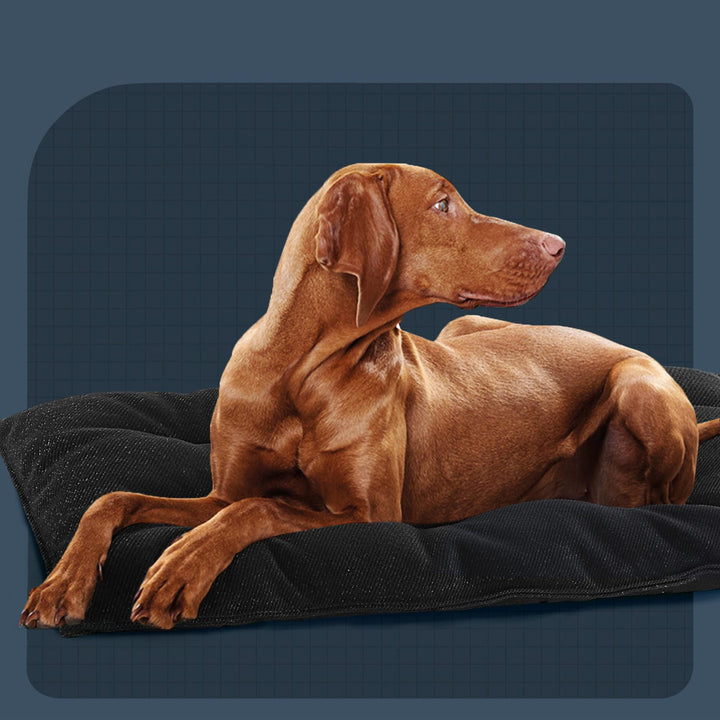 Orthopädisches Ruhepad Hundebett