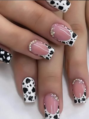 Elegante Lange Acryl Nagelverlängerungen Karnz