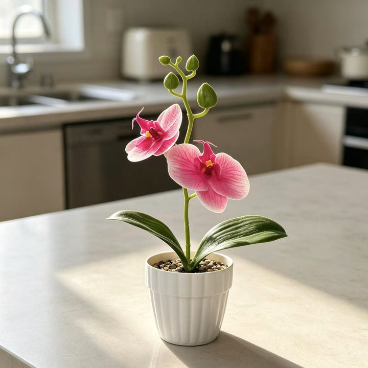 Lebensechte Orchidee Pflanze in dekorativem Keramiktopf für Dekor