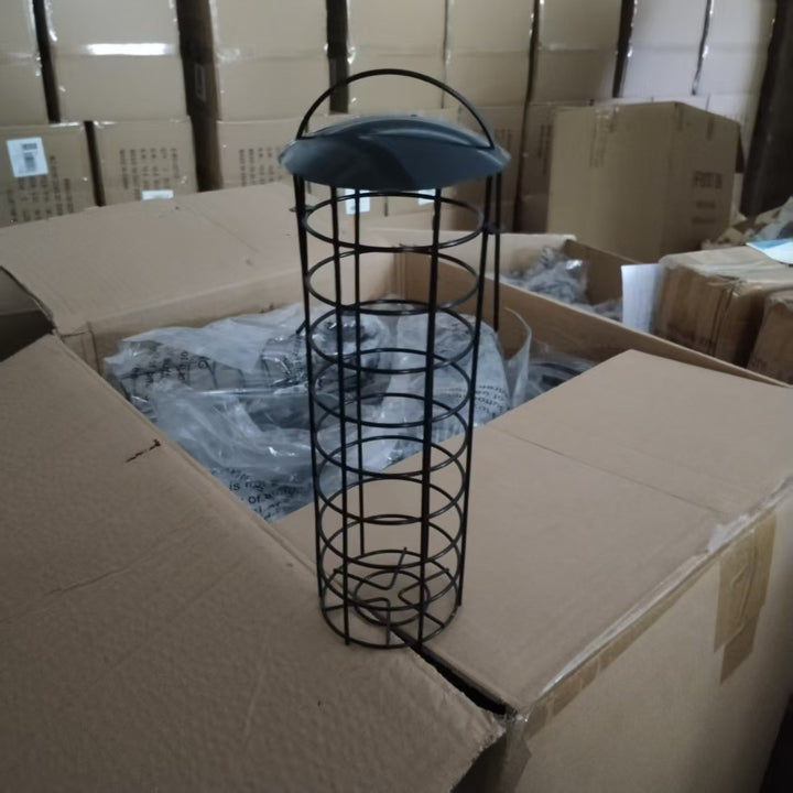 Transparenter Vogelhaus Karnz