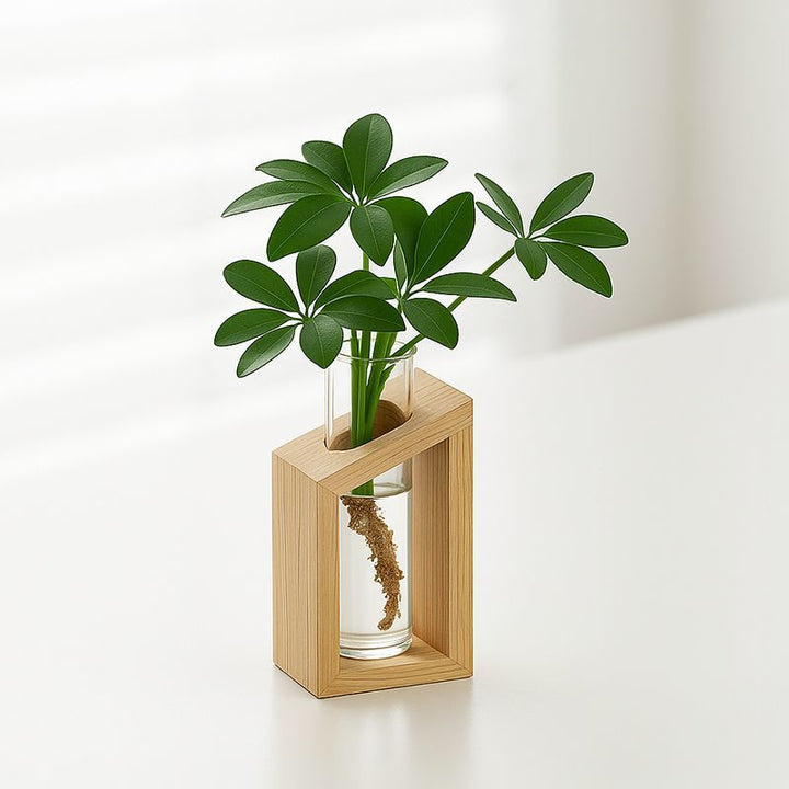 Elegantes Glas Pflanzenhalter-Set für die Wohnkultur