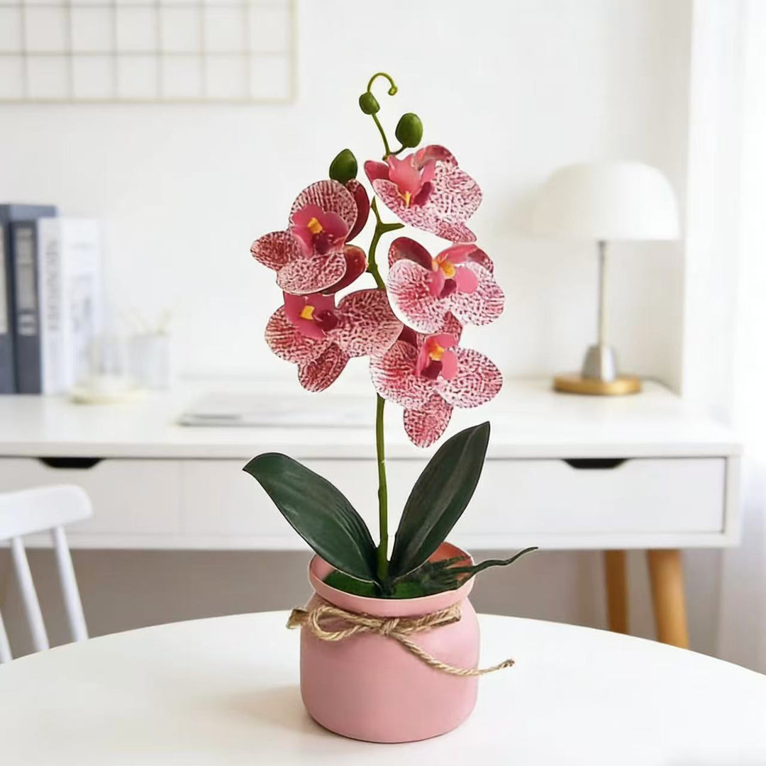 Lebensechte Orchideenpflanze Dekoration für die Wohnkultur