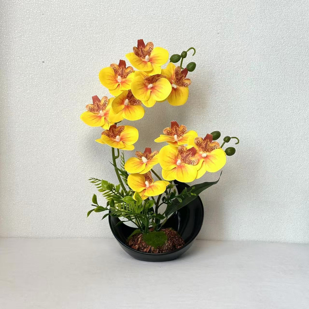 Lebensechte Orchideenblütenanzeige