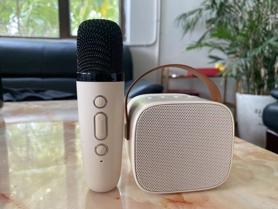 Tragbarer Bluetooth-Lautsprecher mit kabellosem Mikrofon Karnz