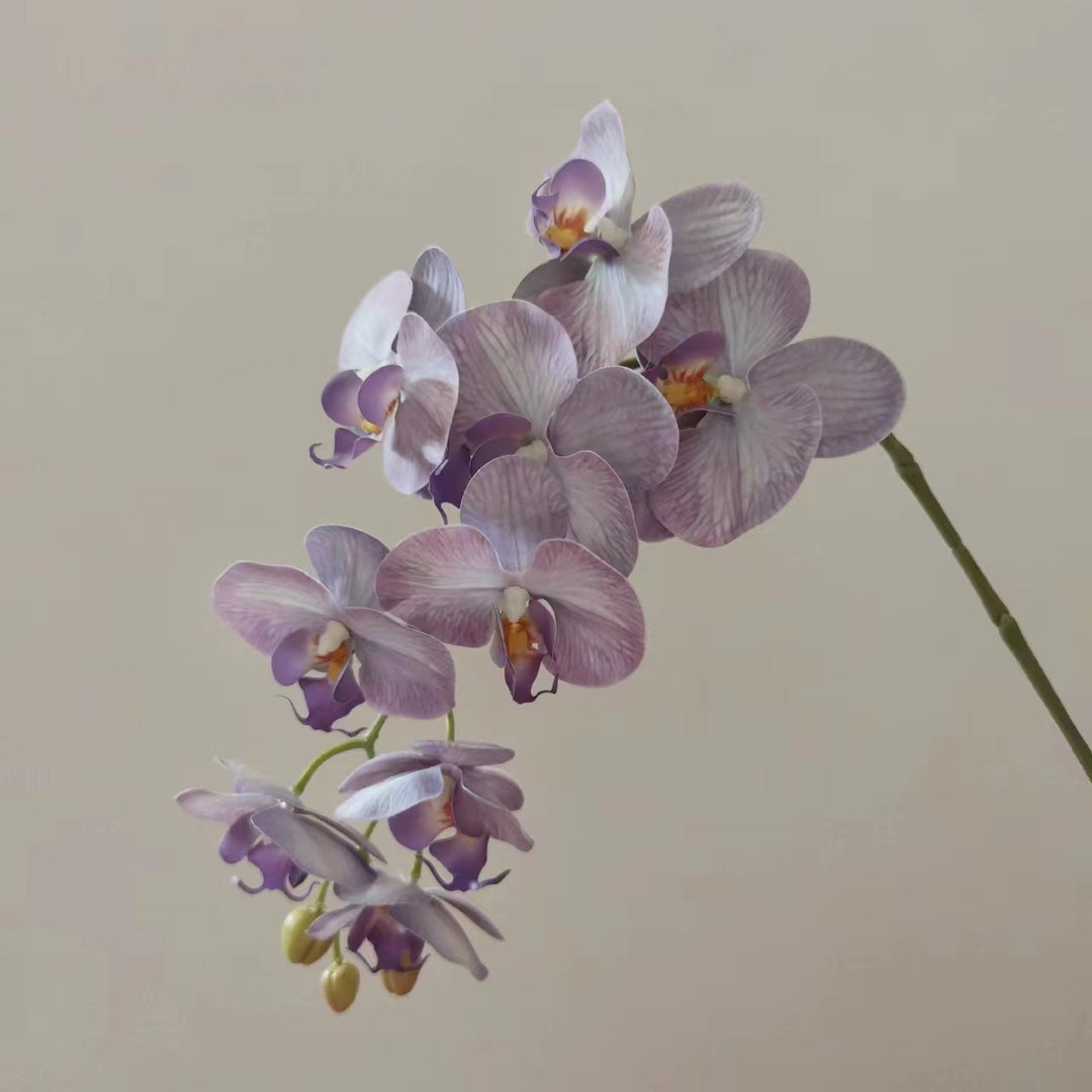Lebensnahe Orchideenblüten-Ranke