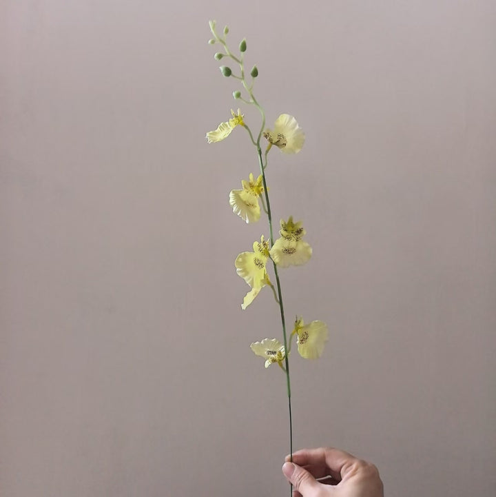 Dekorative Orchideenstängel