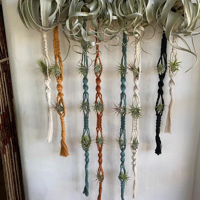 Elegante Macrame-Pflanzenwandbehänge Karnz