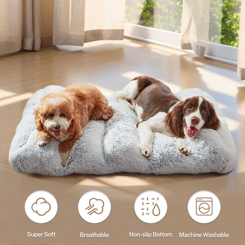 Orthopädisches Hundebett
