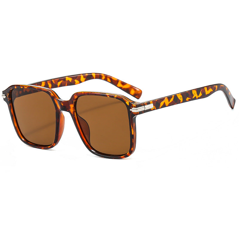 Damen modische Brille Karnz