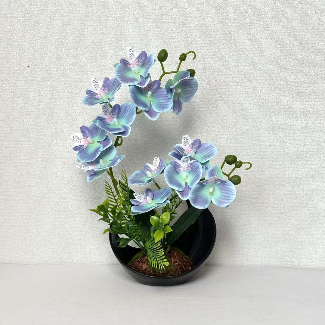 Lebensechte Orchideenblütenanzeige