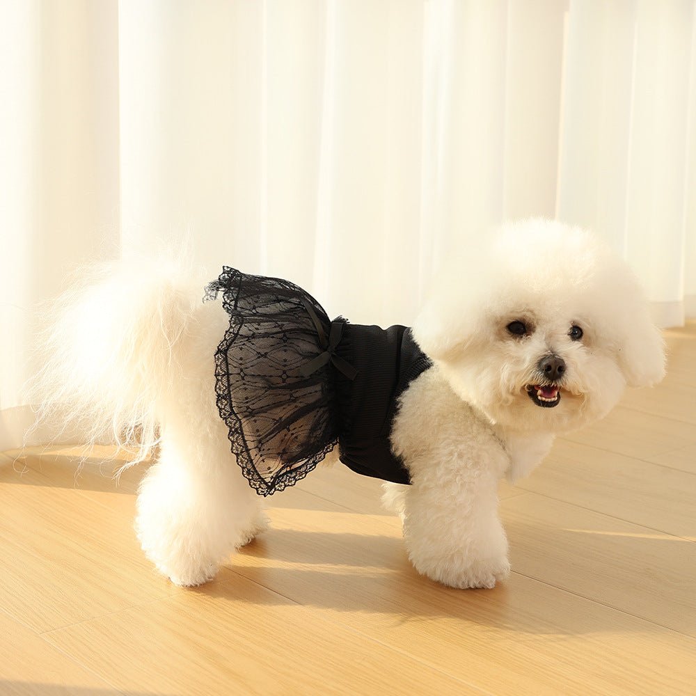 Zartes Spitzen-Tüll-Hundekleid mit gerippter Taille & Dekoration