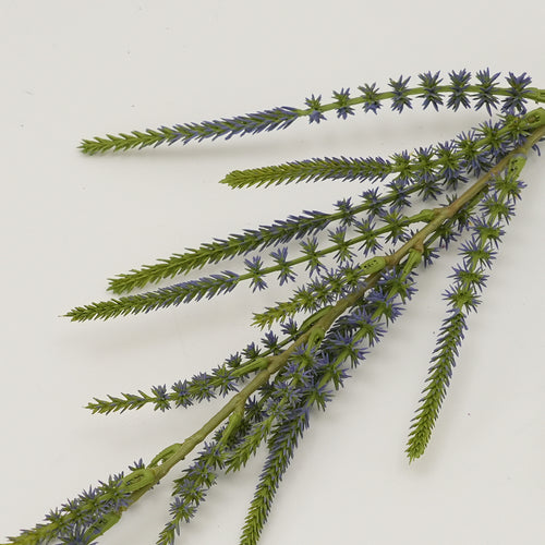 Dekorative Botanische Stiel
