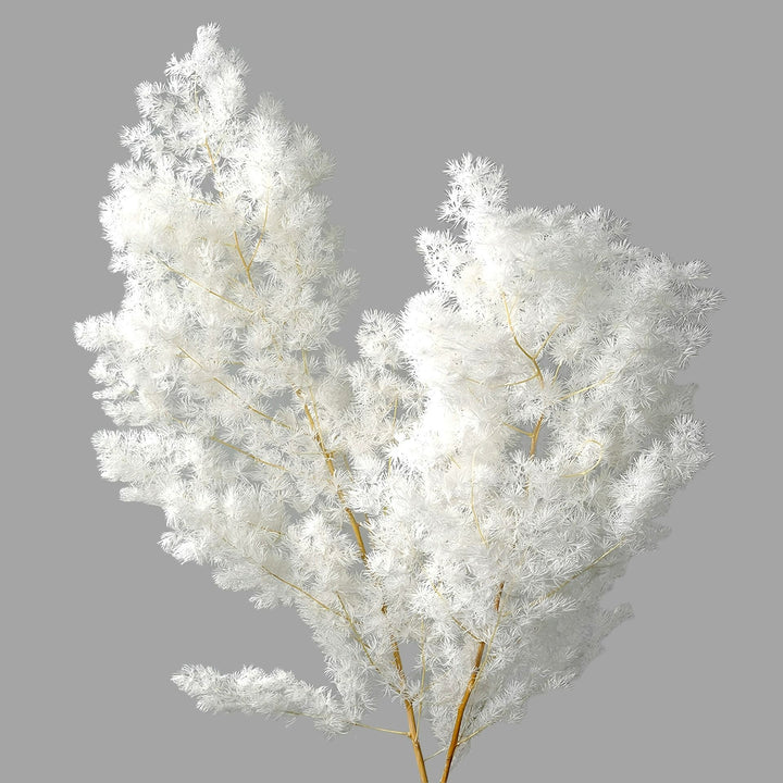 Dekorative Trockenpflanzenarrangement