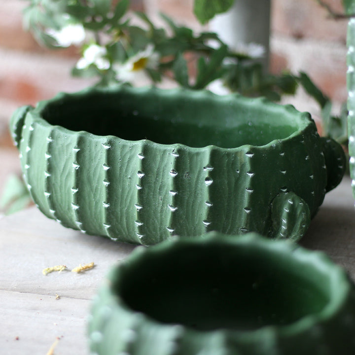 Dekorativer Blumentopf im Kaktus-Design Karnz