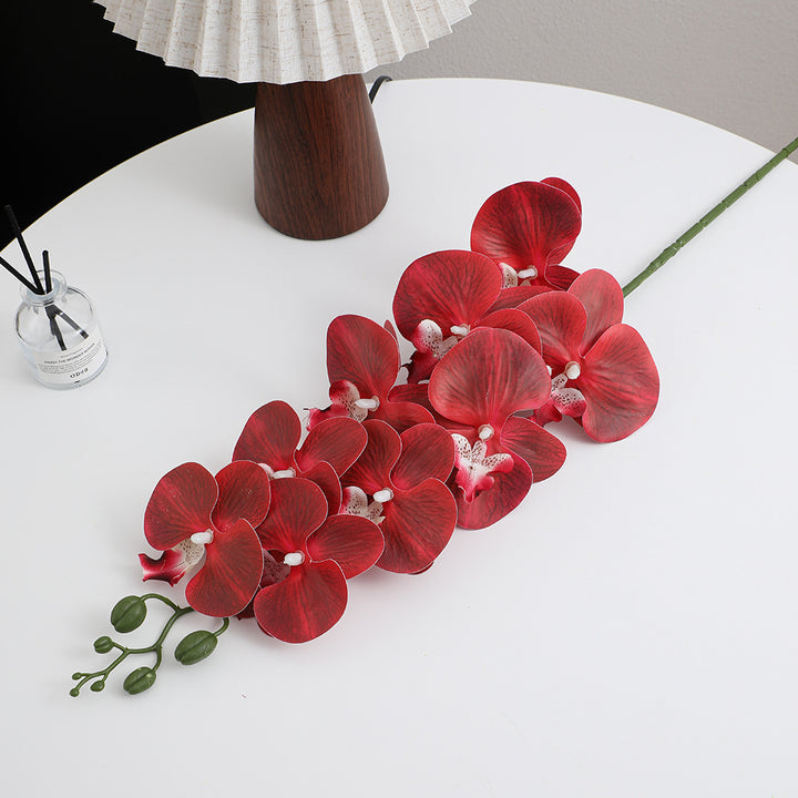 Künstlicher Orchideenstrauß mit eleganten Blüten Karnz