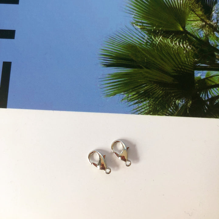 Premium Silber Hummerkrallenverschlüsse Set Karnz