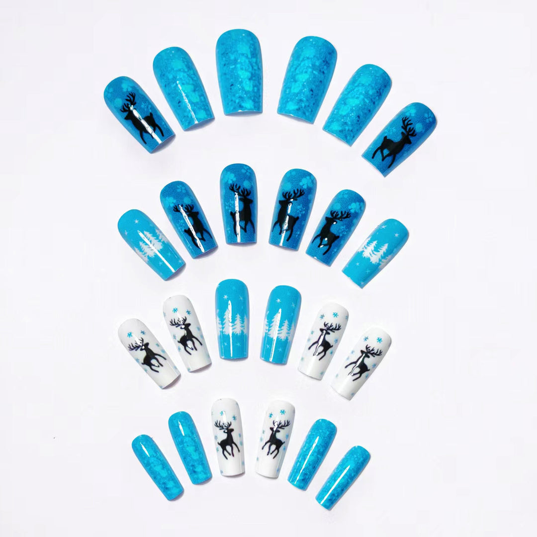 Nagelkunstset Karnz