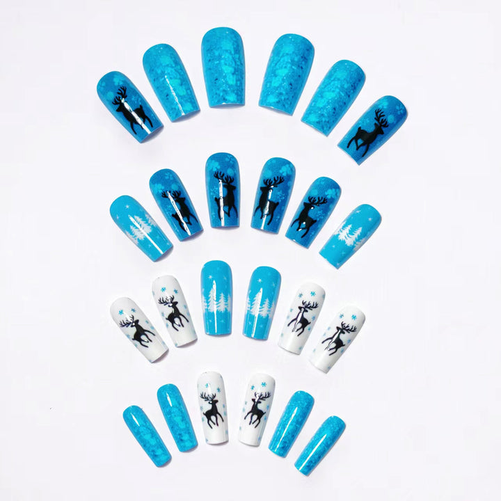 Nagelkunstset Karnz