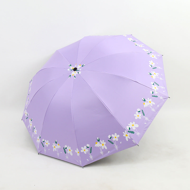 Damen Regenschirm Karnz