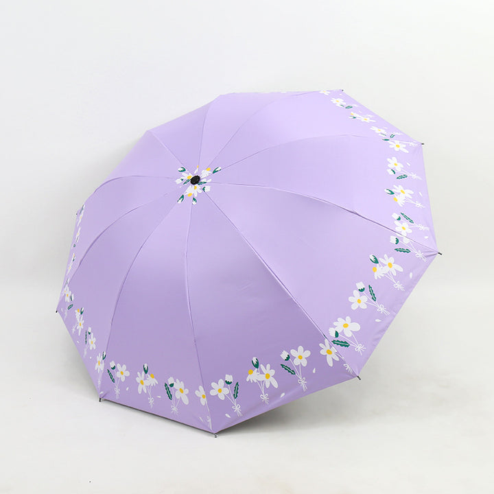 Damen Regenschirm Karnz