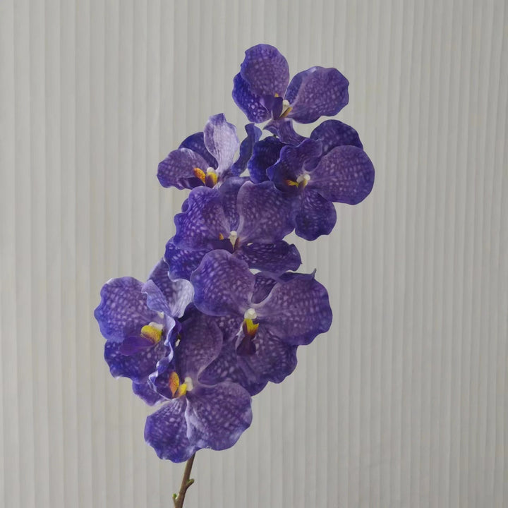 Realistische Orchideenstängel