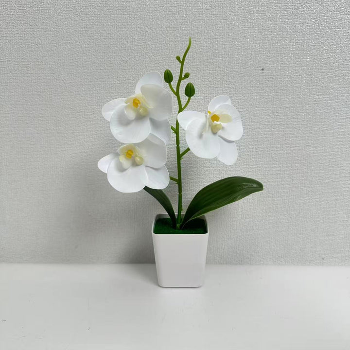 Dekorative künstliche Orchideenpflanze für die Wohnkultur展示