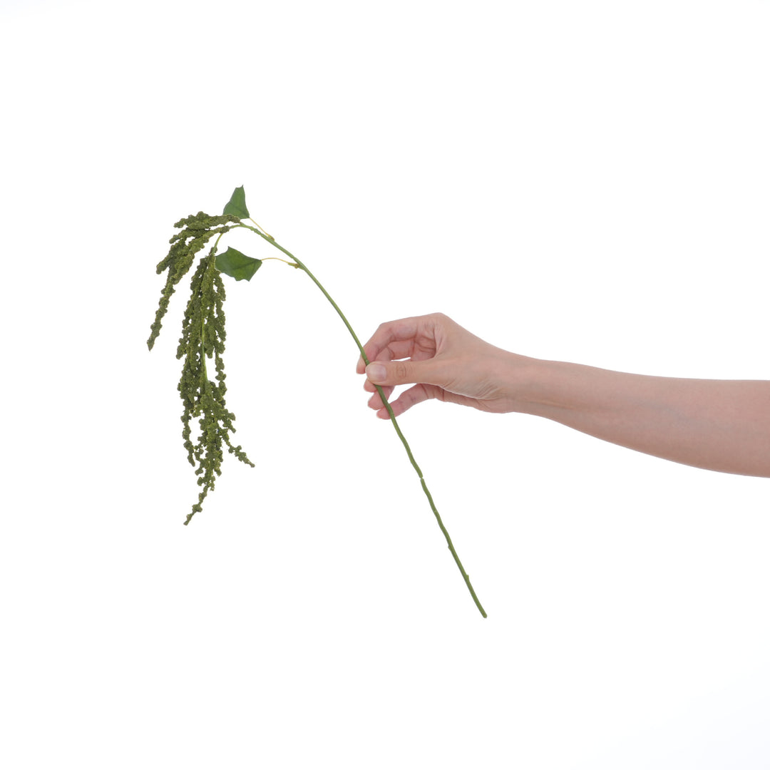 Dekorative grüne Blumenstängel